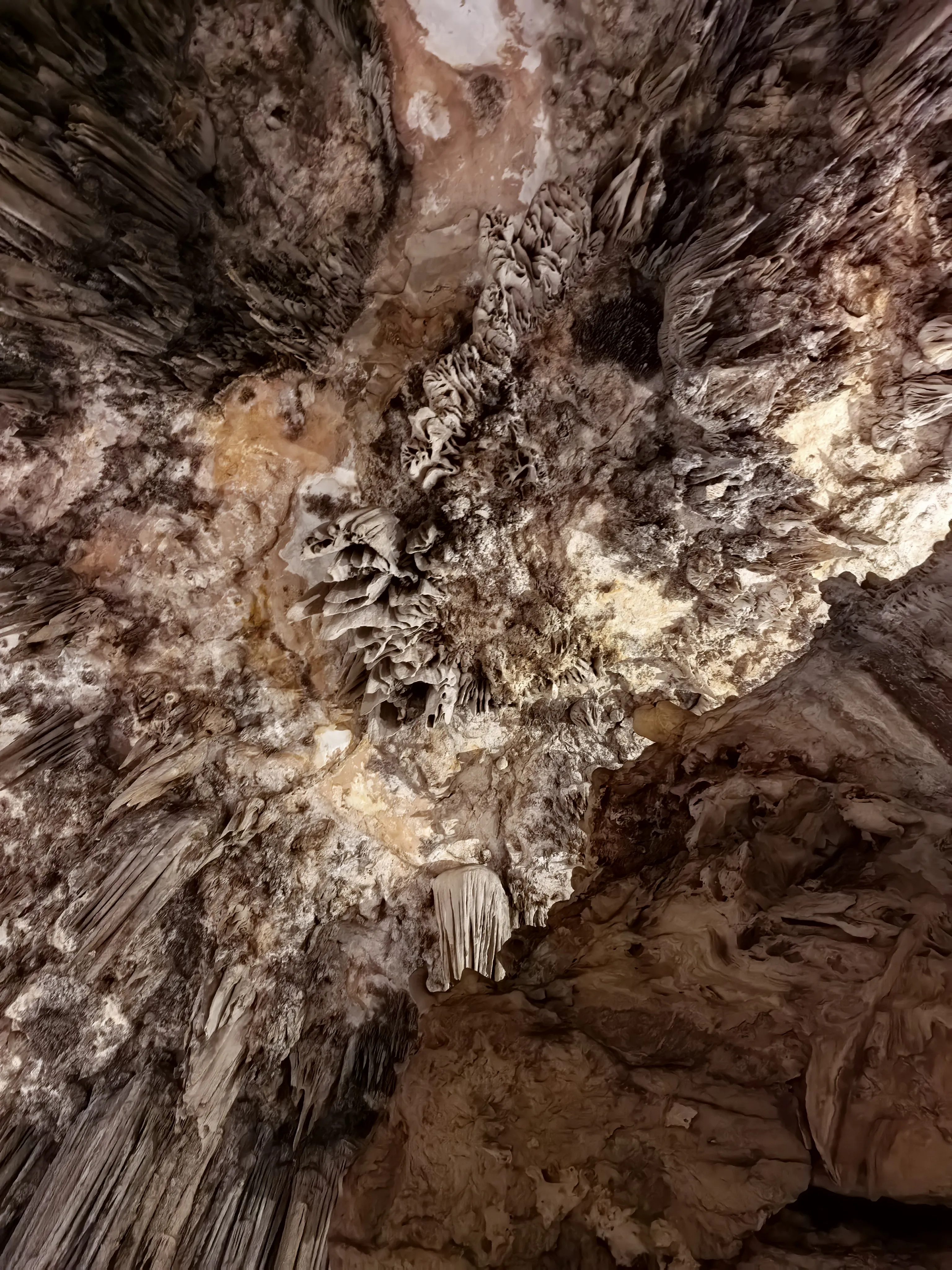 HUAWEI Pura 70 Ultra - System Aparatów - IMG_20251122_150819.webp